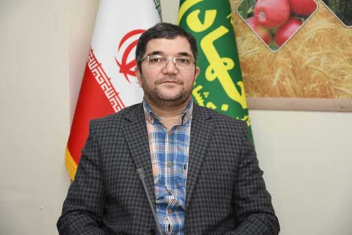 انجام ۹ هزار و ۳۷۳ بازرسی در بازار و نانوایی‌ها؛ ارسال هزار و ۴۶۱ پرونده تخلف به تعزیرات حکومتی