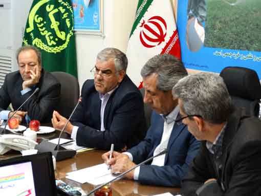 تجهیز  300هزار هکتار از اراضی کشور به طرح سامانه های نوین آبیاری در دولت یازدهم