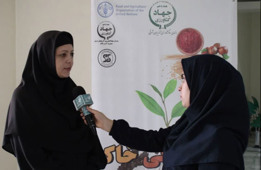مصرف بی رویه سموم  و نقش آن در فرسایش خاک