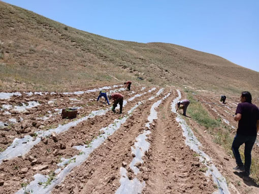 حفاظت از خاک، خط قرمز سازمان جهاد کشاورزی آذربایجان شرقی