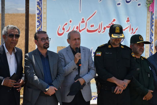 پیش بینی تولیدبیش از ۶۵۰ هزار تن گندم در آذربایجان شرقی 